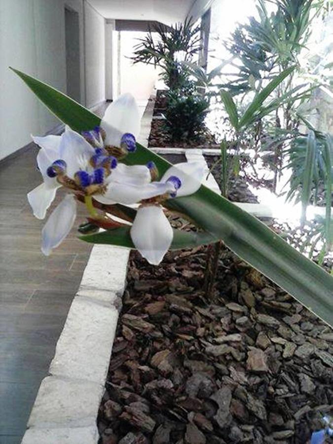 Hotel Luz Fronteira Luaran gambar